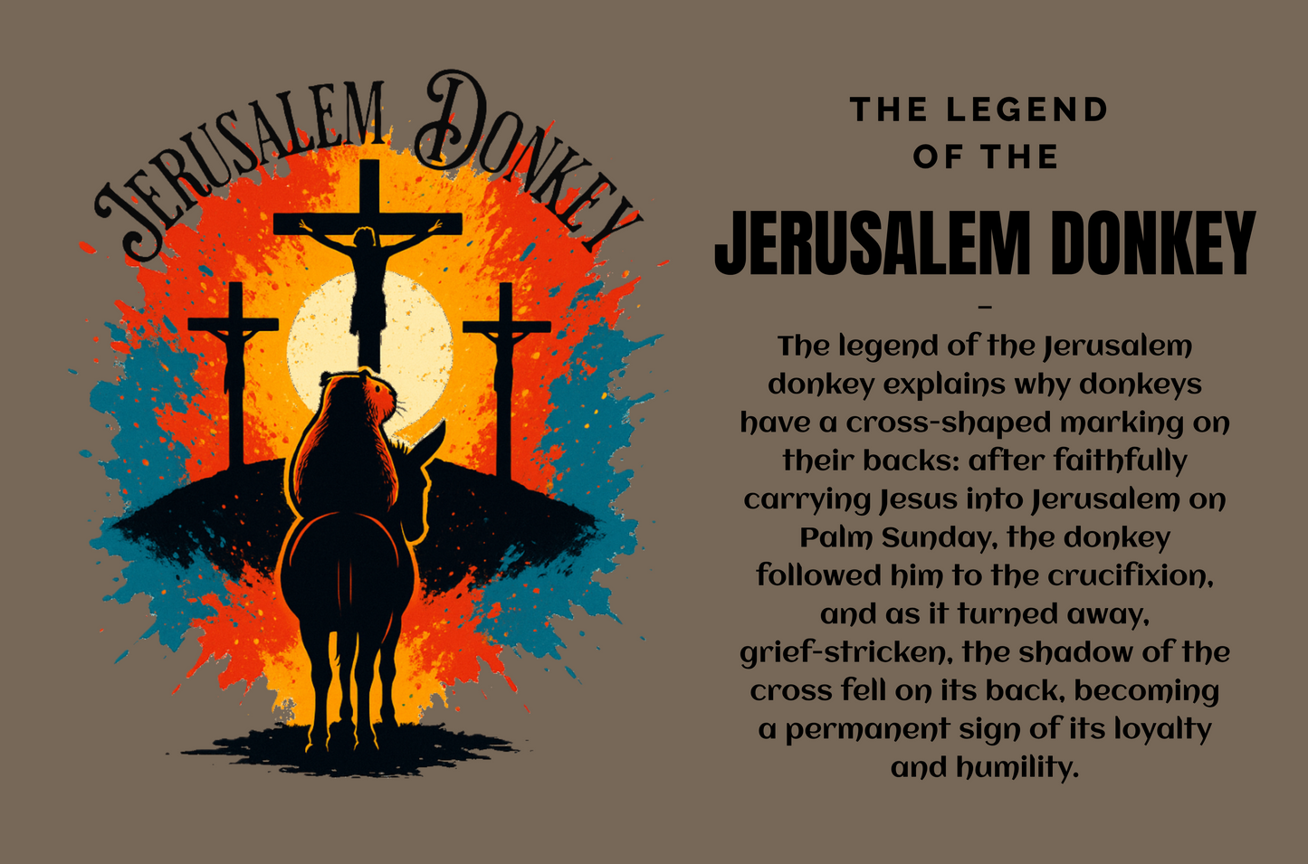 “The Jerusalem Donkey – Youth Christian T-Shirt”